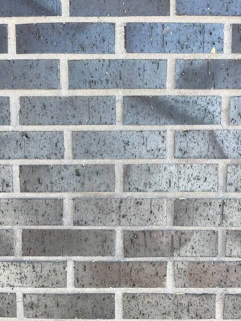 The Wall